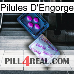 Engorge Pills 37